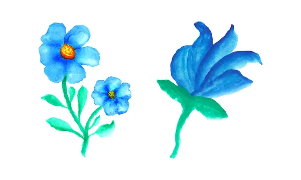Ein Satz Blauer Blumen Auf Weißem Hintergrund Blaues Aquarell Blumendesign — Stockvektor