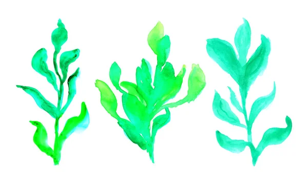 Eine Reihe Grüner Bäume Auf Weißem Hintergrund Handgezeichnete Pflanzen Handgezeichnete — Stockvektor