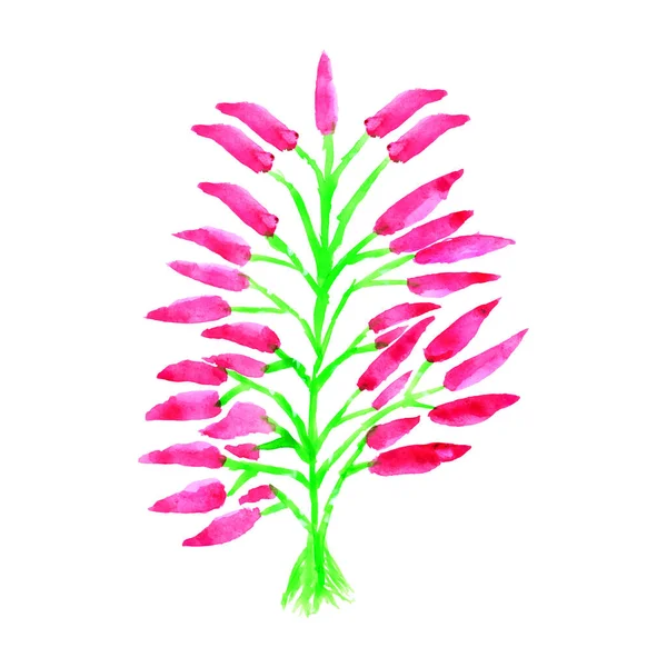 花の水彩画 ピンクと緑の水彩の花のデザイン 美しい花のイラスト — ストックベクタ