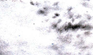 Soyut kara leke suluboya, suluboya siyah doku, Beton desen siyah duvar kağıdı, kaba arka plan tasarımı