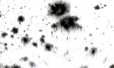 Doku desenli siyah arkaplan, duvar kağıdı desenli. Suluboya arkaplan tasarımı