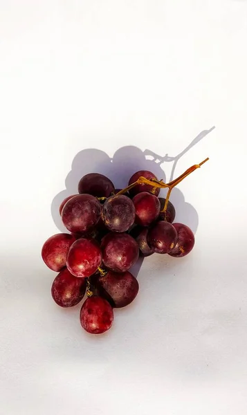 Ett Gäng Vitis Vinifera Frukt Nyplockad Från Druva Fruktträdgård — Stockfoto