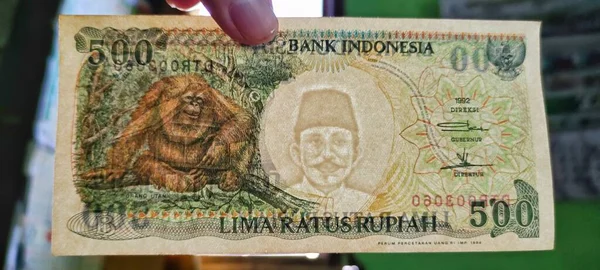 Man Som Innehar Gamla Indonesiska Sedlar 500 Rupiah Utgivna 1992 — Stockfoto
