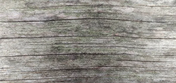 天然的老木料背景 抽象的木料质地 — 图库照片