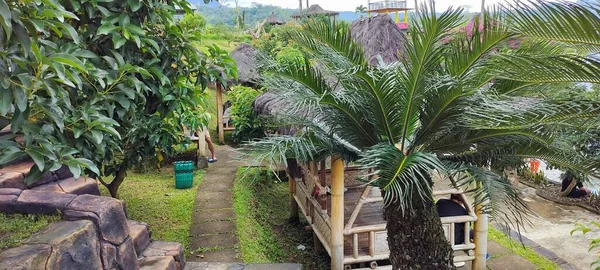 Merkez Java Endonezya Mart 2023 Dinlenmek Için Tropik Yeşil Bahçe — Stok fotoğraf