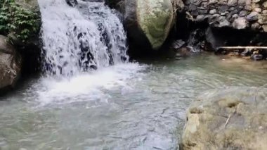 Ormandaki küçük şelalenin kısmi manzarası