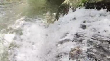 Ormandaki küçük şelalenin kısmi manzarası