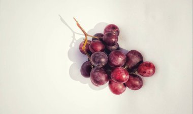 Vitis vinifera, beyaz arka planda izole edilmiş fotoğraf nesnesinde bir gölge konseptiyle fotoğraflanır.