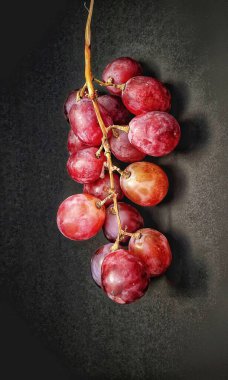 Üzümlere ışık efekti konseptiyle bir üzüm filizi fotoğraflandı.