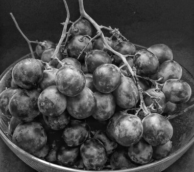 Arkaplanda soyut bir fotoğraf konsepti olan siyah beyaz fotoğraf, kasede bir üzüm filizi ya da vitis vinifera.