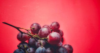 Vitis vinifera ya da kırmızı üzüm yakından çekilip kırmızı arkaplanda izole edilmiş. Gölge konsepti resmi