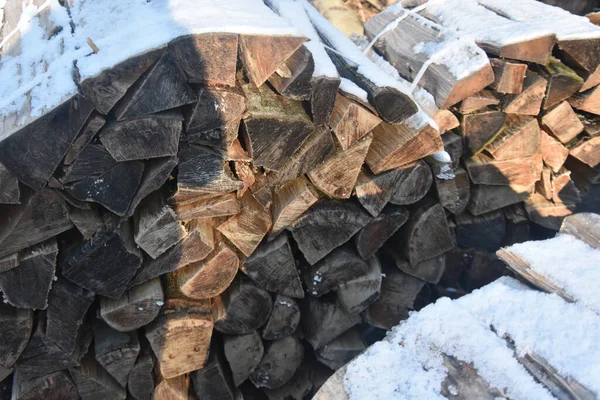 Texture of snowy chopped tree trunk in Winterberg, Germany