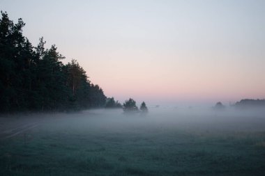 Ormanda sisli bir sonbahar sabahı, Letonya