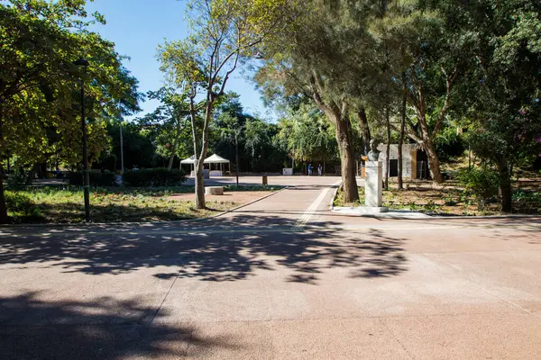 Heraklion, Girit Adası - Yunanistan - 30 Ekim 2020: Heraklion şehrinin merkezinde Georgiadi 'nin parkı. Heraklion City 'nin eski belediye başkanı Minas Georgiadis' in heykeliyle birlikte acı parkının geniş açılı görüntüsü..