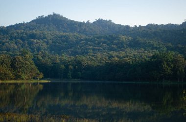 Yağmur mevsiminde. Tayland 'ın ormanda güçlü bir yağmuru vardı. Nehrin şelaleye çok suyu vardı..