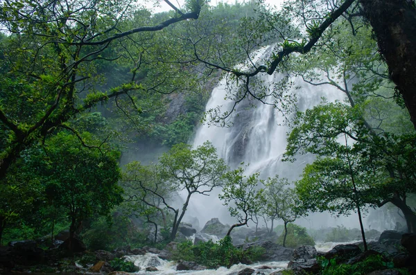 Temporada Lluvias Tailandia Tenía Fuertes Lluvias Bosque Entonces Río Tenía —  Fotos de Stock