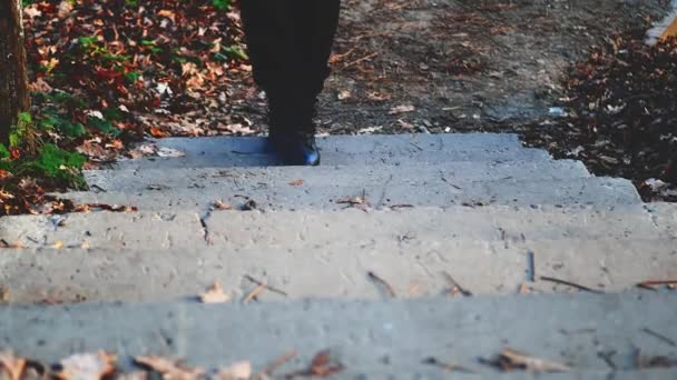 在森林的楼梯 黑色的鞋子沿着平坦的小径行走 楼梯上的干叶 — 图库视频影像