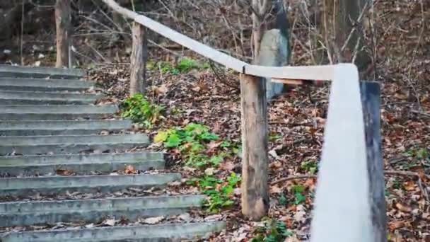 Σκάλες Στο Δάσος Μαύρα Παπούτσια Περπατούν Κατά Μήκος Ενός Κολακευτικού — Αρχείο Βίντεο