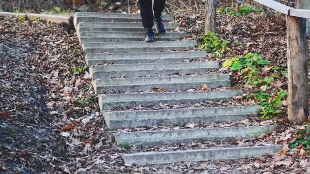 Escaleras Bosque Los Zapatos Negros Caminan Por Sendero Halagador Hojas — Vídeo de stock