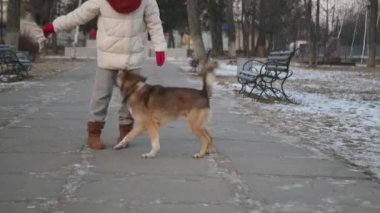 A girl jumps imitating a dog and ran away with her Cinematic