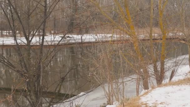Jembatan Rombongan Atas Sungai Musim Dingin Alam Cinematic — Stok Video