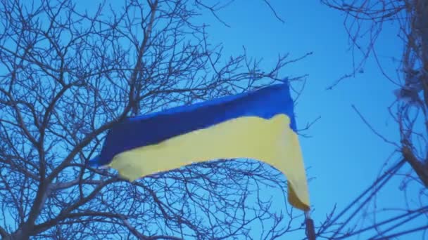 Guerra Ucrania Bandera Que Simboliza Los Campos Cielo Azul Representa — Vídeo de stock