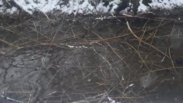 Ειρηνικό Μέρος Snowfall Αφήνει Ίχνη Στο Νερό Της Χειμερινής Χιονισμένης — Αρχείο Βίντεο