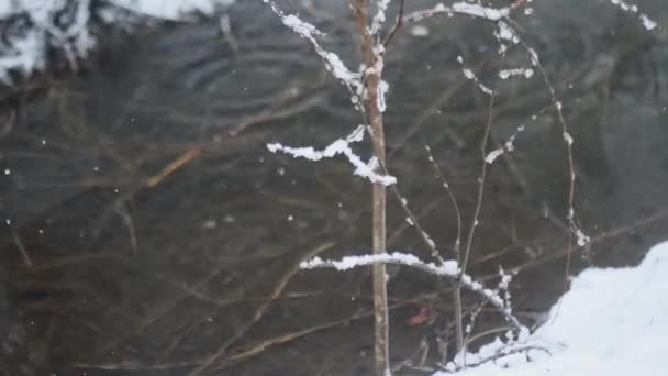 非常大气的冬季雷达在雪地和平的地方 — 图库视频影像