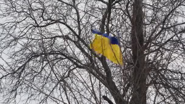 ウクライナとロシアの間の戦争曇った空に対して風に揺れる黄色の青い旗によって表される自由な国 — ストック動画