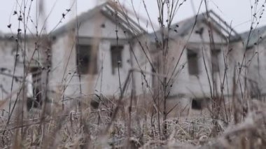 Boyalı Kulübe Patates Anne Sinema Makinesi 4k