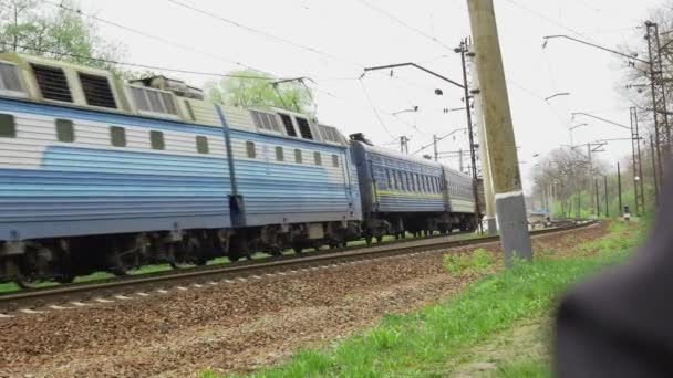 Tåget Passerar Långsamt Längs Järnvägen Som Ligger Skogen — Stockvideo