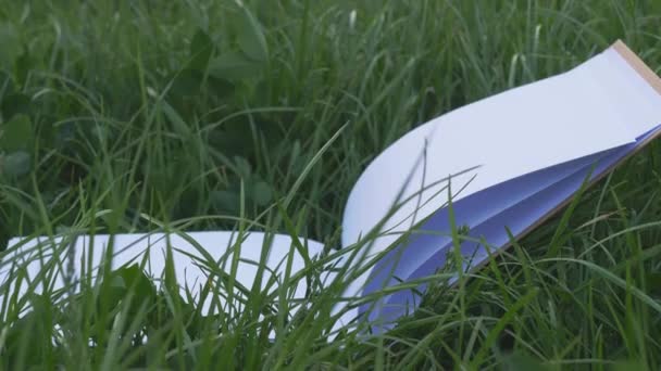 白雪公主的脚踏在绿草上 随风飘荡 4K水平视频 电影镜头 — 图库视频影像