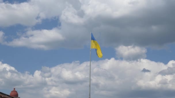 Ucranianos Maior Bandeira Acenando Vento Vídeo Horizontal Imagens Cinematográficas — Vídeo de Stock