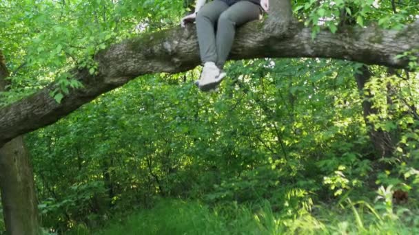 Κοκκινομάλλα Κορίτσι Κάθεται Ένα Δέντρο Και Κουνώντας Πόδια Της Οριζόντια — Αρχείο Βίντεο