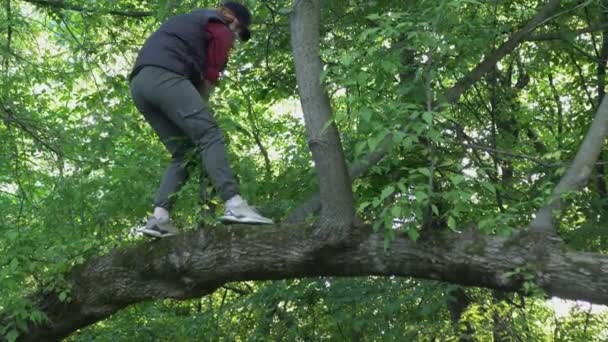 Menina Cabelos Vermelhos Boné Escalando Uma Árvore Curvada Velha Vídeo — Vídeo de Stock