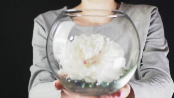 Женщина Протягивает Стеклянную Вазу Белым Цветком Декоративными Камнями Сосредоточься Футуристическое — стоковое видео