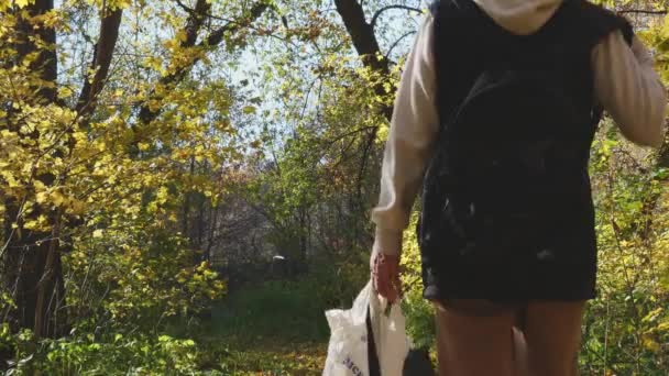犬を飼っている女性が森の梯子に沿って歩き 暖かい秋の日を楽しんでいます 明るく 暖かく 居心地の良い 映画的 大気4K決断ビデオ — ストック動画