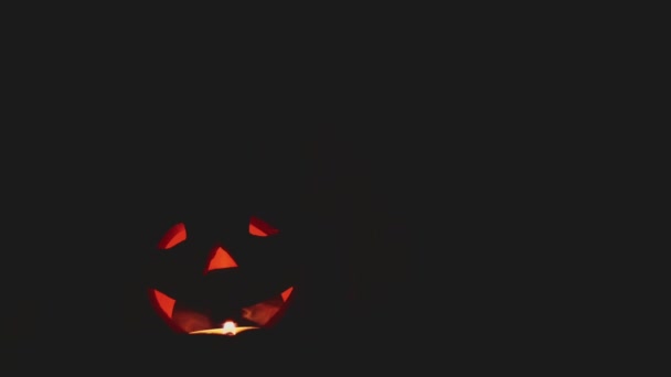Mlha Ústech Dýně Halloween 2024 Atmosférické Estetické Video Záběry Pro — Stock video