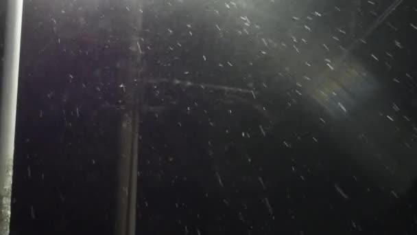 Winternacht Schneefall Auf Dem Hintergrund Einer Straßenlaterne Auflösung Horizontales Video — Stockvideo