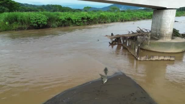 Disparo Drones Crocodilo Rio Com Uma Forte Corrente Imagens Horizontais — Vídeo de Stock