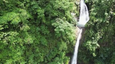 Yağmur ormanları üzerinde İHA uçuşu. Şelale sistemleri. Vahşi yaşam. Sinematik 4k video