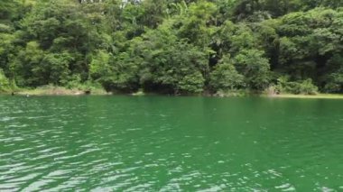 Dağ gölü üzerinde bir dronun uçuşu, karşı kıyıda beyaz bir kuş oturuyordu. Vahşi yaşam. 4K Yatay Video