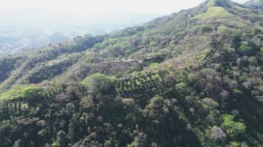 Dağlar, yukarıdaki orman. İHA uçuşu. 4K Yatay Video