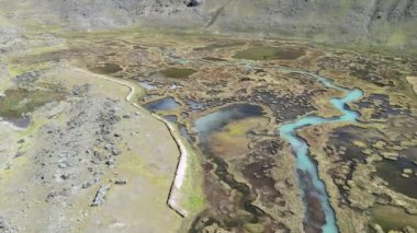 Çeşitli bitki yaşamlarıyla çevrili yemyeşil sulak alanlarda dolaşan turkuaz bir dağ deresinin havadan görünüşü.