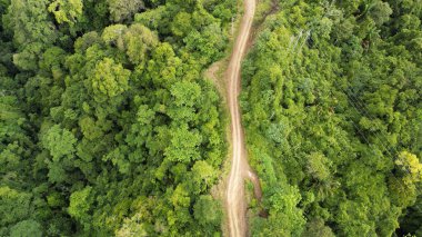 Bu, bereketli yeşil bir ormanın içinden geçen dolambaçlı toprak bir yolu gösteren bir hava manzarası.