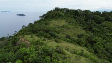 Bu büyüleyici video, yemyeşil bir yamacın huzur ve güzelliği çağrıştıran huzurlu bir su kütlesine eğiminin havadan görüntüsünü sunuyor.