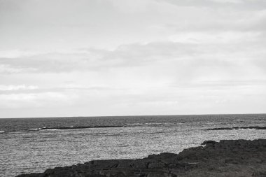 Kayalık sahilli dramatik siyah beyaz deniz manzarası