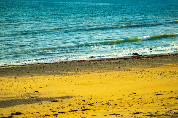 Güneşli bir günde okyanus dalgaları ile altın kumlu sahil