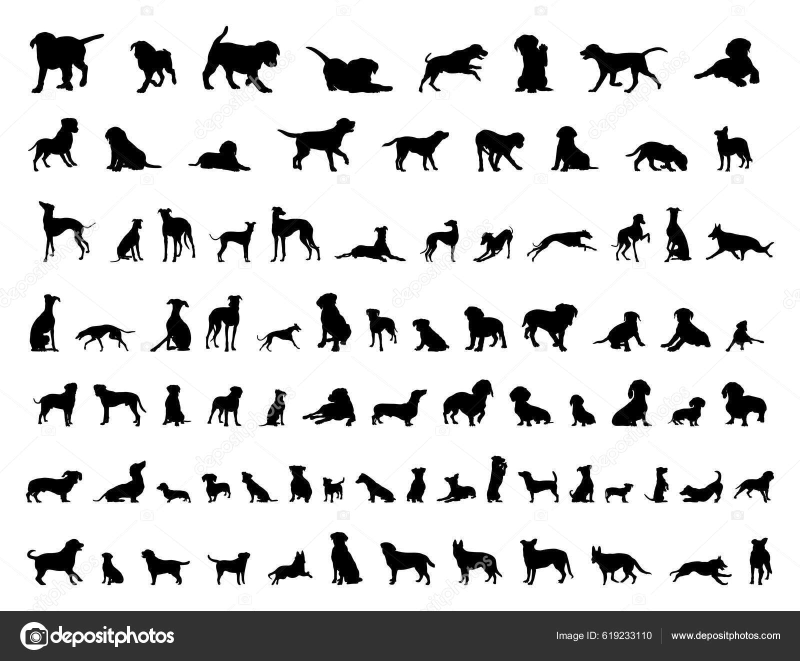 Logotipo galgo Imagens de Stock de Arte Vetorial | DepositPhotos, image size:1600x1322