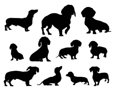 Dachshund köpek siluetleri. hayvan siluetleri, vektör illüstrasyonu.